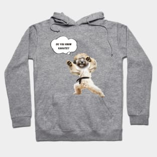 Dog Knows Karate Hoodie